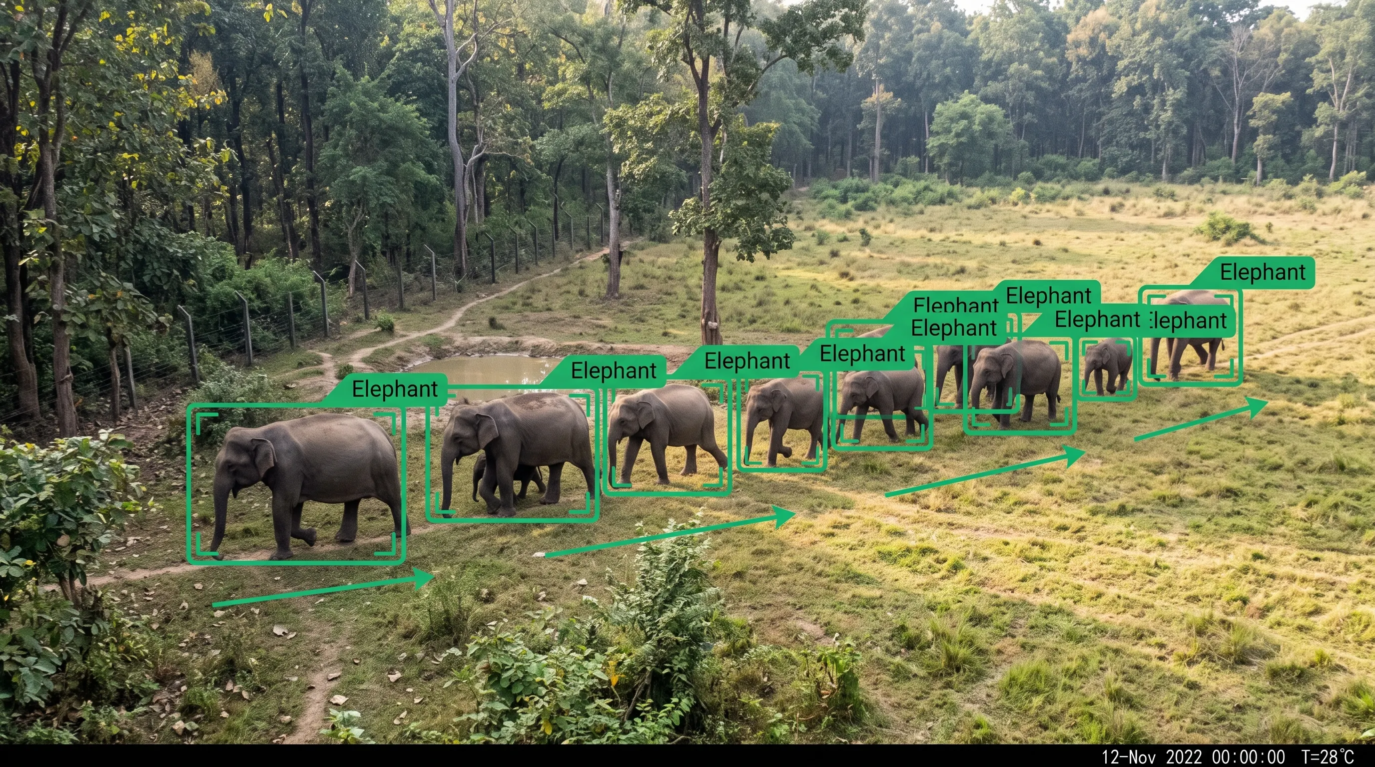Herd and movement tracking of wild animals near a boundary